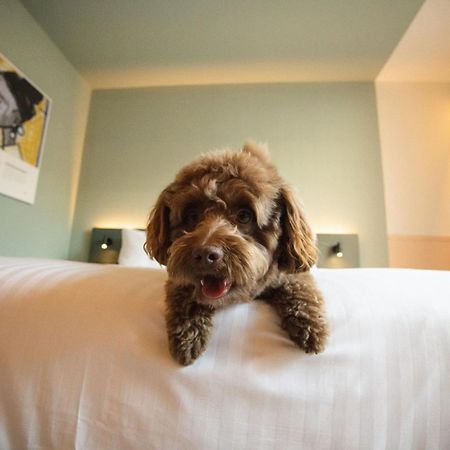 The Rebyl, Nijmegen, A Tribute Portfolio Hotel 外观 照片